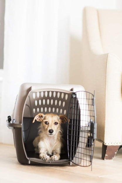 Petmate Two-Door Small Dog & Cat Carrier for Pets Up to 10 Pounds with SnooZZy Sheepskin Bolster Crate Mat for 19' Crates, Up to 15 lbs