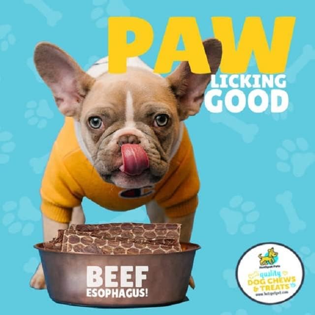 hotspot pets Beef Dog Treats Esophagus (6 Inches) - 100% Natural Healthy Chews for Dogs - Meat Jerky Snack with No Preservatives or from Grass Fed Cattle (10 Pack)
