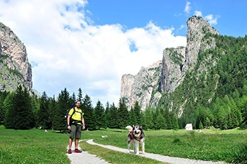 Neewa Dog Walking Belt with Pocket and Collapsing Bowl, Ideal for Trekking, Hiking, Running with Dog, and Hands Free Dog Leashes. Can be used as a Dog Running Waist Belt or Dog Belt for Walking