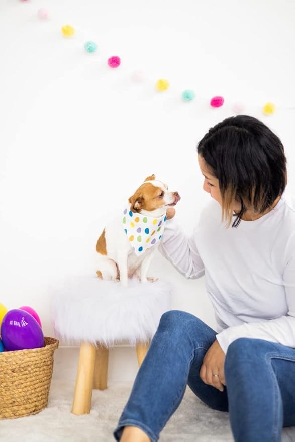 Pearhead Pet Jelly Beans Bandana, Easter Pet Bandana, Slide-On Pet Bandana, Dog or Cat Apparel, Pet Accessory, Easter Pet Gifts, Pet Owner Gift Ideas, Small/Medium, S/M