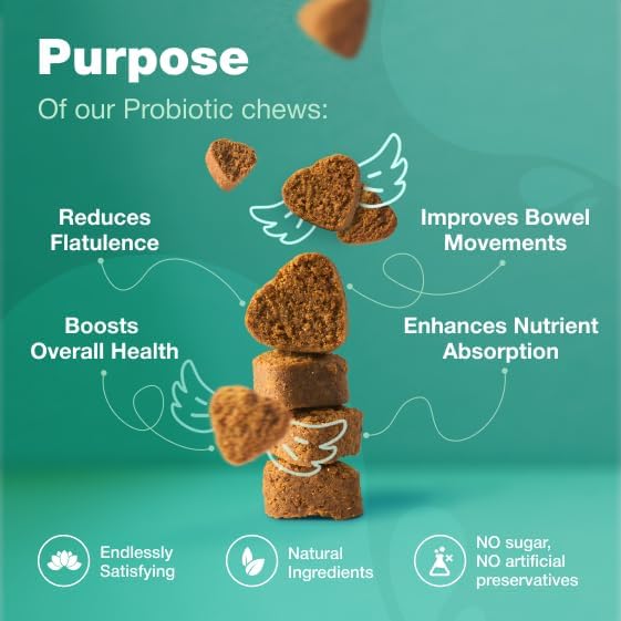Probiotics for Dogs - Support Gut Health, Immunity, Yeast Balance, Itchy Skin, Allergies - Dog Probiotics and Digestive Enzymes - Coprophagia Deterrent for Dogs - 180 Probiotic Chews for Dogs