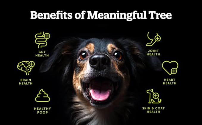 Heart Health for Dogs, Fiber Supplement for Digestive Health, Heart Health & Gut Health, Coat & Joint Health, Made in USA, Only Two Natural Ingredients, 5 Pack