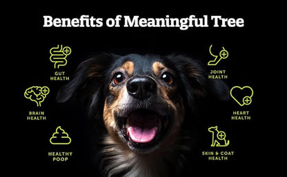 Heart Health for Dogs, Fiber Supplement for Digestive Health, Heart Health & Gut Health, Coat & Joint Health, Made in USA, Only Two Natural Ingredients, 5 Pack