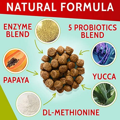 Green Lawn Chews for Dogs - Green Grass Chews - Urine Neutralizer Grass Burn Spots - Lawn Burn from Dog Urine - Probiotics & Enzymes - Made in USA - Bacon Flavor - 240 Lawn Saver Chews