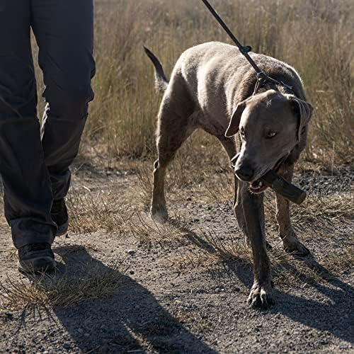 Browning Pet Toys, Durable Dog Toys for Tug and Fetch, Durable Solid Rubber Stick Toy