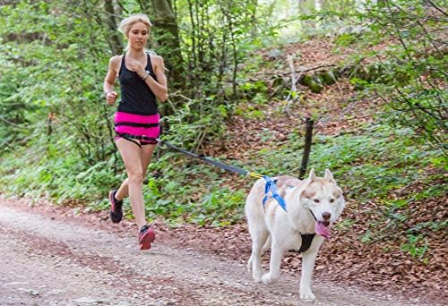 Neewa Canicross & Skijoring Belt to Run or Walk with Your Dog with Dog Running Leash Hands Free 2 Dogs or One, Dog Walking Belt for Multiple Dogs (One-Size-Fits-All, Black)