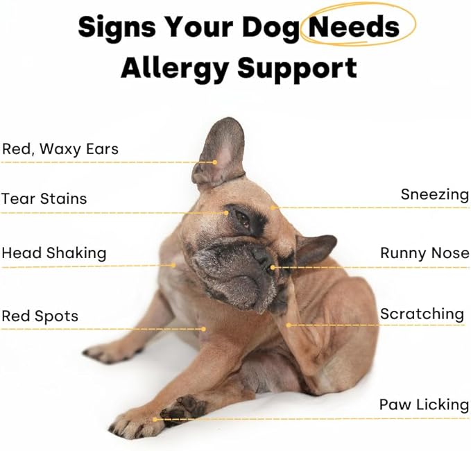 Kayode Itch & Allergy Chews - Natural Allergy Relief for Dogs. Premium Colostrum for Dogs, Bee Pollen for Dog Allergies. Alaskan Salmon Oil. Natural Itch Relief for Dogs. 90 Dog Allergy Chews.