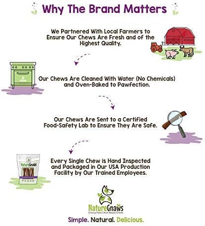 Nature Gnaws Super Skinny Bully Sticks for Small Dogs - Premium Natural Beef Dental Bones - Tasty Thin Dog Chew Treats for Toy Breeds & Puppies - Rawhide Free