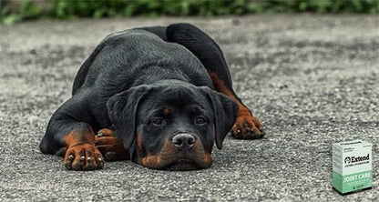 Extend Joint Care for Dogs