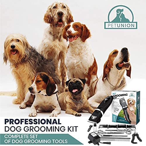 Pet Union Professional Dog Grooming Kit - Cordless Low Noise Dog Clippers for Grooming Thick Coats - All Pet Safe Cat Hair Trimmer - Pet Grooming Kit includes Dog Hair Clippers, Nail Trimmer & Shears