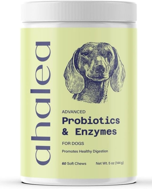 Probiotics for Dogs- Dog Probiotics for Digestive Health, Support Gut Health, Diarrhea, Digestive Health & Seasonal Allergies, 60 Count 2 Billion CFUs