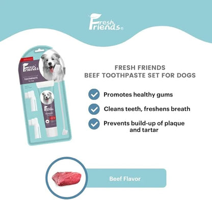 FRESH FRIENDS Enzymatic Dog Tooth Brushing Kit | Dog Toothbrush and Toothpaste | Puppy Tooth Brushing Kit | Dog Teeth Cleaning Kit | Improves Gum Health | Dog Dental Kit (Beef Flavor)