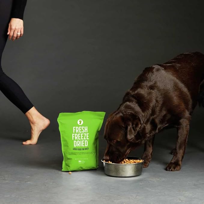 Gut Health Fresh Freeze Dried Raw Meal, Beef Recipe, 16 Ounce Bag, Dog Food for Dogs of All Breeds and Life Stages, USDA Beef, Made in USA