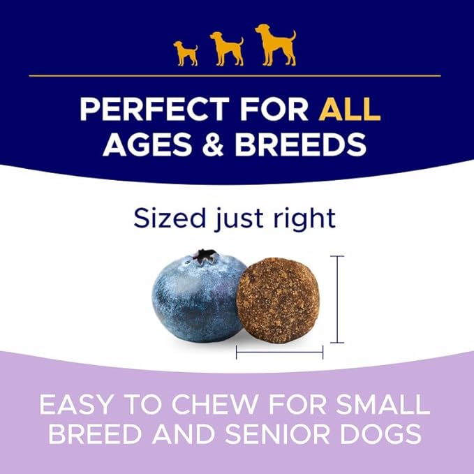 Probiotics for Dogs + Digestive Enzymes - Omega & Pumpkin - Gut Health & Immunity Support - Relieves Diarrhea, Gas, Constipation, Improve Digestion - Made in USA - 100 ct - Beef Bacon