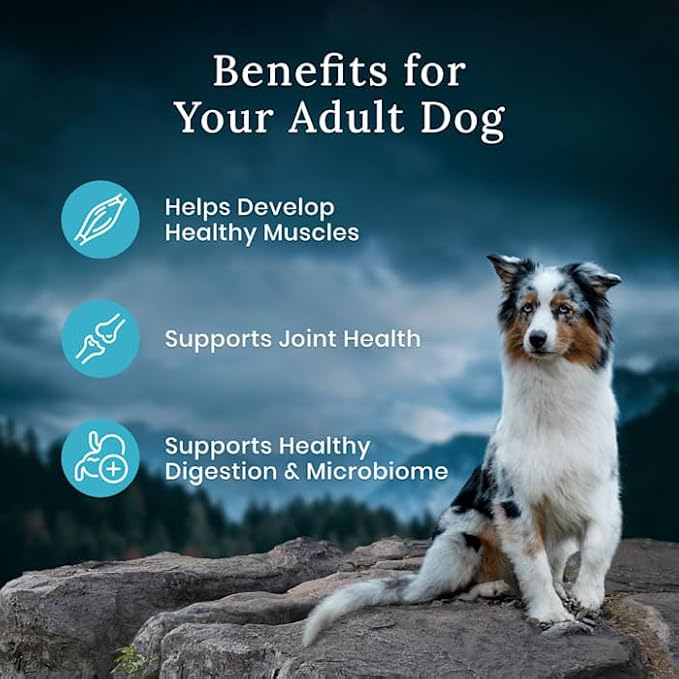 Blue Buffalo Blue Wilderness Premier Blend with Meaty Cuts Adult Chicken Dry Dog Food, 13 lbs.