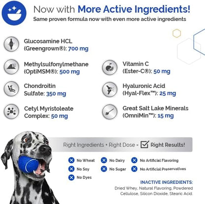 Glycanaid HA Glucosamine for Dogs Hip and Joint Supplement - Dog Joint Chews Made in USA - Hyaluronic Acid Dog Hip & Joint Care - Dog Joint Pain Relief with Cetyl M for Dogs