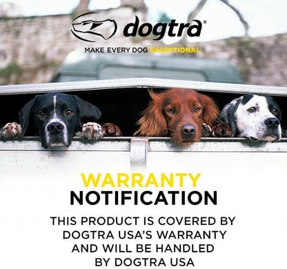 Dogtra 1900S BLACK Boost & Lock E-Collar Remote Dog Trainer 1-Mile Range Ergonomic IPX9K Waterproof High-Output Matte Black