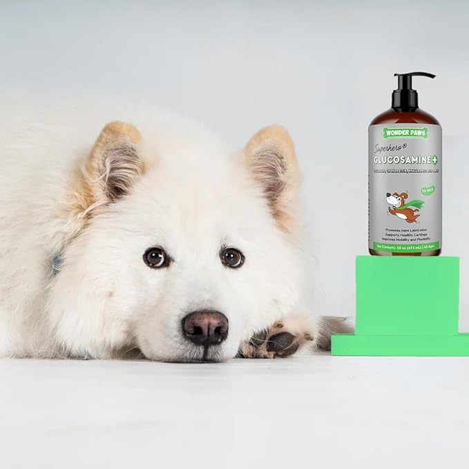 Premium Liquid Glucosamine for Dogs Strength Joint Support, Flexibility, Cartilage & Mobility - Hip and Joint Supplement with Chondroitin, MSM, Collagen & Hyaluronic Acid (16 Oz)