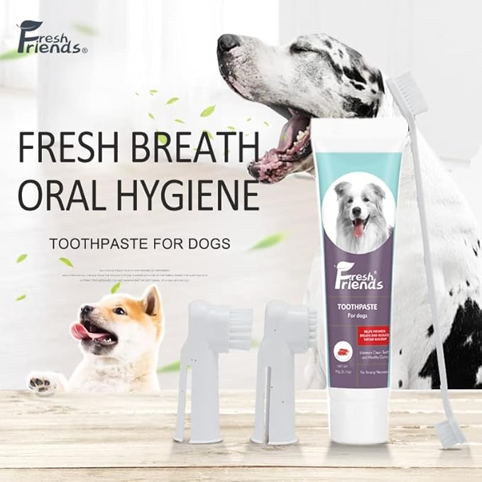 FRESH FRIENDS Enzymatic Dog Tooth Brushing Kit | Dog Toothbrush and Toothpaste | Puppy Tooth Brushing Kit | Dog Teeth Cleaning Kit | Improves Gum Health | Dog Dental Kit (Beef Flavor)