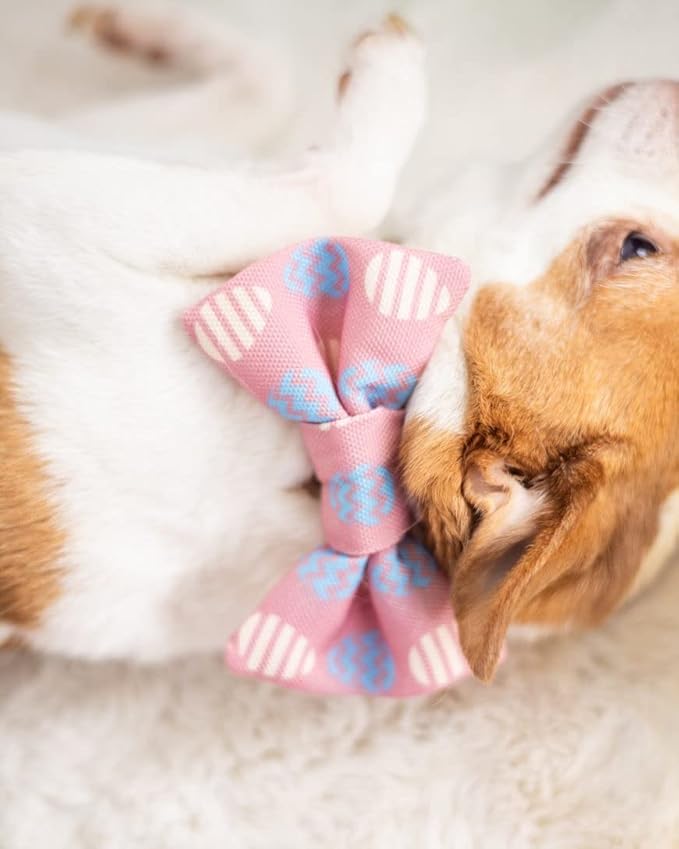 Pearhead Easter Egg Pet Bowtie, Holiday Pet Costume, Slide-On Collar Dog Bow Tie, Dog and Cat Apparel, Pet Accessory, XS/S