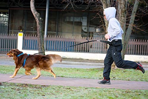 Neewa Dog Walking Belt with Pocket and Collapsing Bowl, Ideal for Trekking, Hiking, Running with Dog, and Hands Free Dog Leashes. Can be used as a Dog Running Waist Belt or Dog Belt for Walking