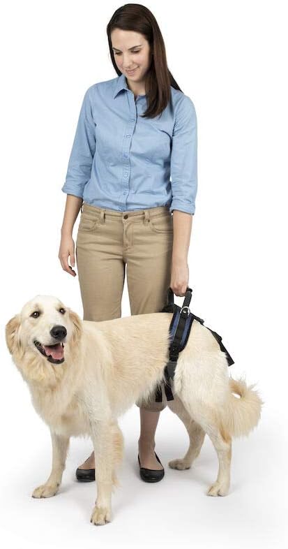 PetSafe Solvit Pet Lifting Aid for Rear Portion, Large, Black (62365)