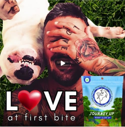 Journey Up Berry Glow Up, Chicken and Blueberry Dog Jerky Treats Made in USA with Prebiotics for Gut & Immune, Omega 3s & 6s for Skin & Coat, Antioxidants for Healthy Aging, Small-Large Dog, 12 oz.