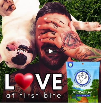 Journey Up Berry Glow Up, Chicken and Blueberry Dog Jerky Treats Made in USA with Prebiotics for Gut & Immune, Omega 3s & 6s for Skin & Coat, Antioxidants for Healthy Aging, Small-Large Dog, 12 oz.