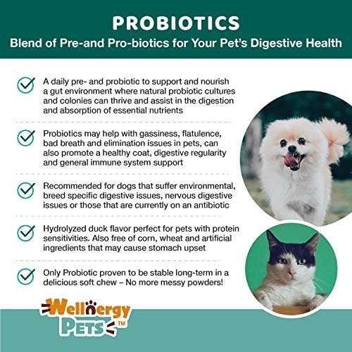 Wellnergy Daily Probiotic & Prebiotics Soft Chew for Dogs & Cats - Digestive Support for Diarrhea, Constipation, Upset Stomach, Indigestion & Gas - Helps Digestion, Allergy Skin & Immune Health 70ct