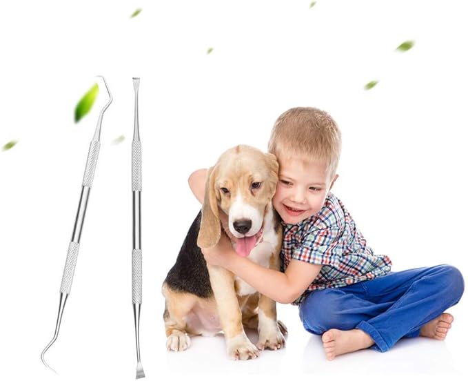 Dog Tooth Scaler and Scraper - 2 Pack Upgrade Pet Tarter Remover with Different Angles Double Head, Stainless Steel Teeth Cleaning Tools for Dogs