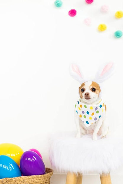 Pearhead Pet Jelly Beans Bandana, Easter Pet Bandana, Slide-On Pet Bandana, Dog or Cat Apparel, Pet Accessory, Easter Pet Gifts, Pet Owner Gift Ideas, Small/Medium, S/M