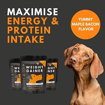 Buddy & Lola Dog Weight Gainer - Dog Supplement for Weight Gain - Dog Protien Powder for Max Muscle Builder, High Calorie supplement for All Dogs & Breeds inc Bully. Pro Food Topper - Made in The USA