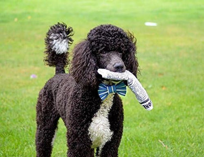 Pet Qwerks Plush Interactive Dog Toys - Newspaper Squeaker Toy - 10 in,Large breeds