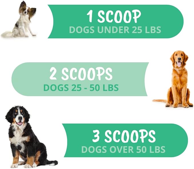 Under The Weather Allergy & Itch Relief Powder for Dogs | Dog Allergy and Itch Aid | Immune Booster and Skin & Coat Supplement for Dogs | Aids Seasonal Allergies, Skin Hot Spots & Anti-Itch