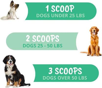 Under The Weather Allergy & Itch Relief Powder for Dogs | Dog Allergy and Itch Aid | Immune Booster and Skin & Coat Supplement for Dogs | Aids Seasonal Allergies, Skin Hot Spots & Anti-Itch