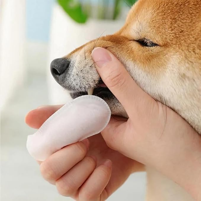 FRESH FRIENDS Best Dog Dental Care Finger Wipes - Reduces Plaque & Freshens Breath - Dental Wipes for Dogs Teeth Cleaning - Dog Dental Wipes - Dog Tooth Wipes - 50 Count - Peppermint & Aloe Vera