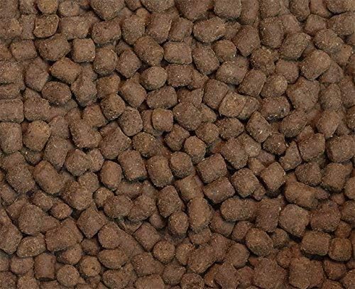 Ketogenic Pet Foods - Keto-Kibble – High Protein, Low Carb, Starch Free, Grain Free Dog & Cat Food - 18 lb