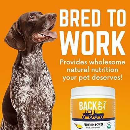 Pumpkin Power Vitamins for Dogs, Powdered Pumpkin with Vitamins A, C & E, Fiber-Rich for Optimal Pet Health, Combat Constipation, Multivitamin for Digestive Health, 24 oz (90 Day Supply)