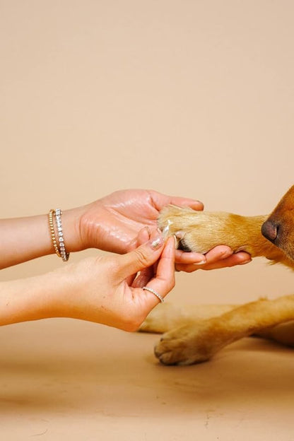 Pet Massage Oil Capsules for Allergies, Dry, Itchy & Irritated Coat & Paws - Healthy Skin & Shiny Coat - 90 Capsules (Mango Scent)