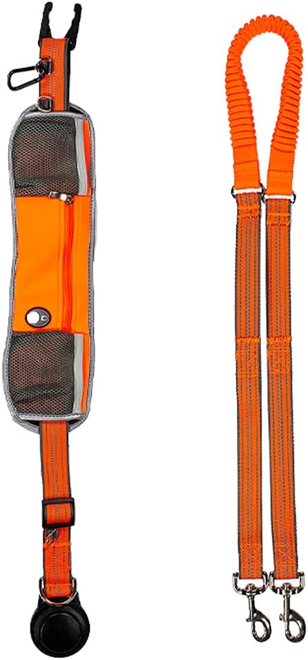 Penn-Plax Quick-Release Adventure Belt and Bungee Leash Combo – A Hands-Free Connection with Your Dog – Great for Walking, Jogging, Hiking, and Other Outdoor Activities