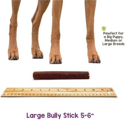 Nature Gnaws Bully Sticks for Dogs - Premium Natural Beef Dental Bones - Long Lasting Dog Chew Treats for Aggressive Chewers - Rawhide Free - 5-6 Inch