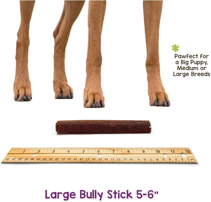 Nature Gnaws Bully Sticks for Dogs - Premium Natural Beef Dental Bones - Long Lasting Dog Chew Treats for Aggressive Chewers - Rawhide Free - 5-6 Inch