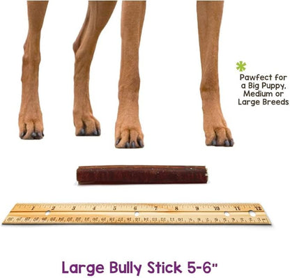 Nature Gnaws Bully Sticks for Dogs - Premium Natural Beef Dental Bones - Long Lasting Dog Chew Treats for Aggressive Chewers - Rawhide Free - 5-6 Inch