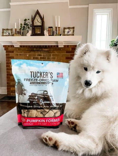 Tucker's Raw Frozen Freeze Dried Raw Dog Food, Beef & Pumpkin Formula 14oz