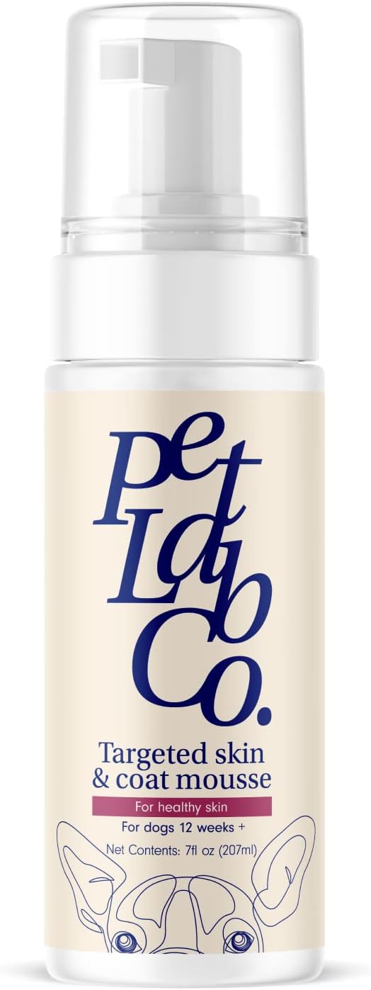 Petlab Co. Itch Relief Mousse - Moisturize, Deodorize, & Support Dry Skin with This Dry Dog Shampoo. Unique Quick-Dry Formula Delivers Support to Promote Coat Comfort