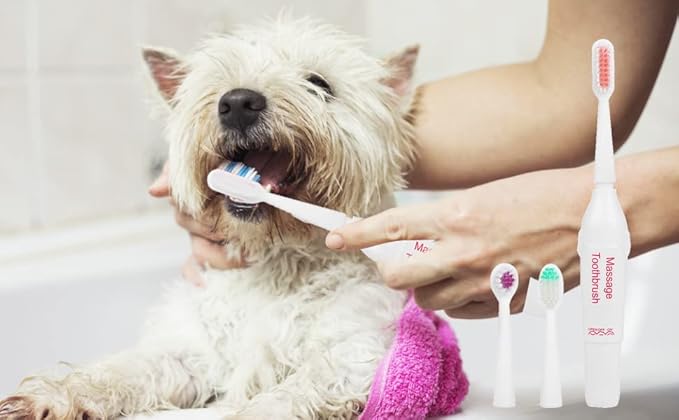 Pssopp Pet Electric Toothbrush Dog Cat Teeth Cleaning Tool Professional Electric Dog Toothbrush with Two Soft Brush Head