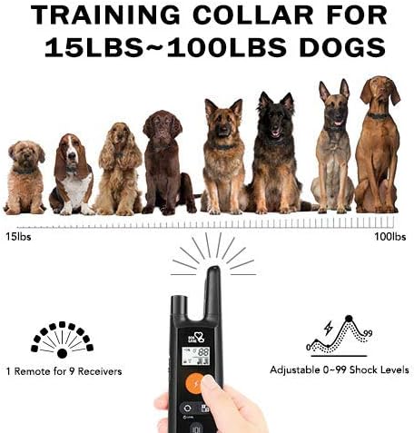 Dog Training Collar - Rechargeable Dog Shock Collar with Beep, Vibration and Shock Training Modes, Rainproof, Long Remote Range, Adjustable Shock Levels Shock Collars for Dogs with Remote