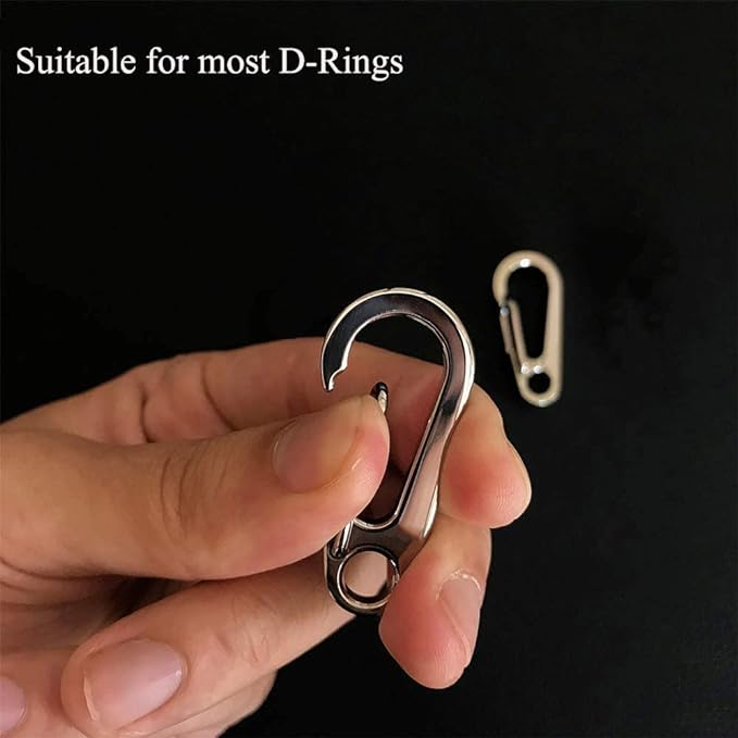 IVIA Dog Tag Clips / 2 Pack/Multiple Size 304 Stainless Steel Quick Clip with Rings/Easy Change Dog Cat ID Tag Holder for Small pet Collars and Harnesses.(2 Medium Silver)
