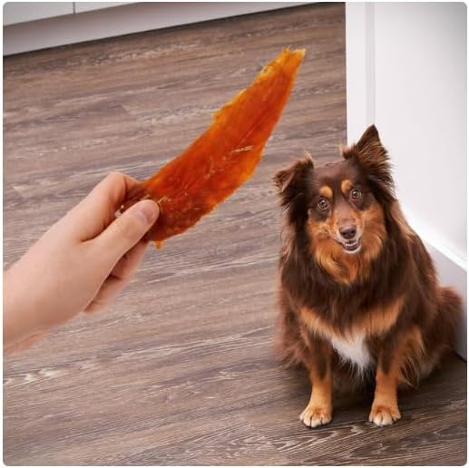 Golden Rewards Chicken Flavor Premium Dry Jerky Treats for All Dogs, 16 oz