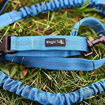 Wagtime Club Hands Free Bungee Dog Leash - Smart 3-in-1 Design For Running, Hiking, or Walking with Durable Dual Handles, SmartPhone Pouch, Reflective Stitching, 4FT Length for Medium to XLarge Dogs -